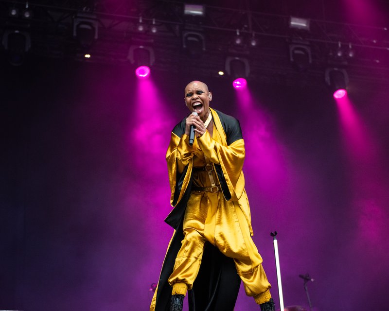Skunk Anansie